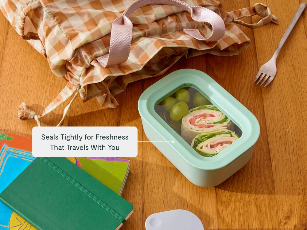 Mini Rectangle Container - 2.6 cup container for non-toxic meal prep &amp; freezer-to-oven use. - US 3887